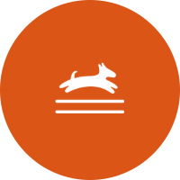 Hundesport WPC-Timing | Hundesport