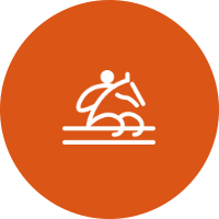 Reitsport Springreiten Reitsport Springreiten